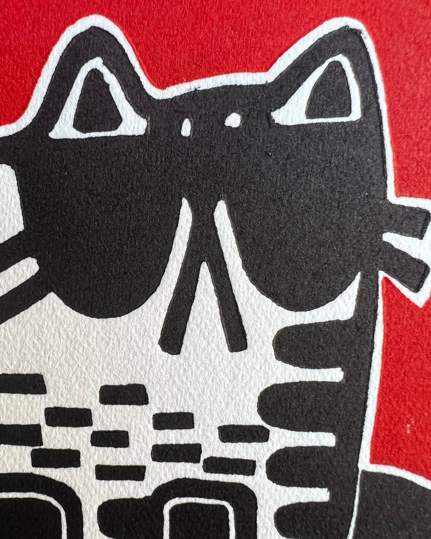 cat wearing sunglasses
