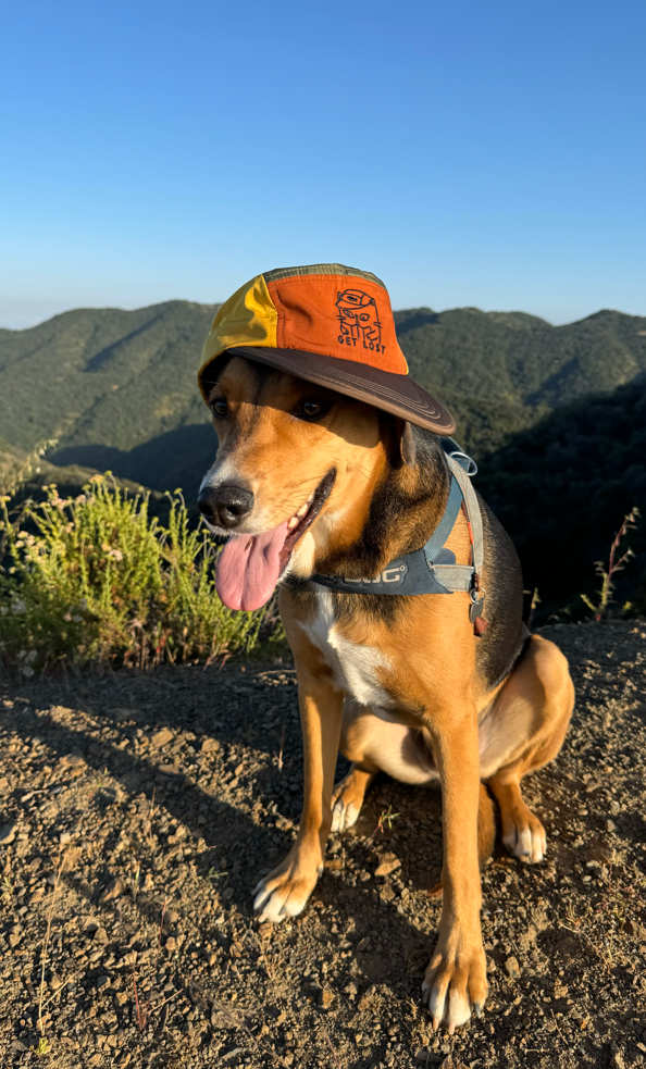 Get Lost 5 Panel soft brim hat