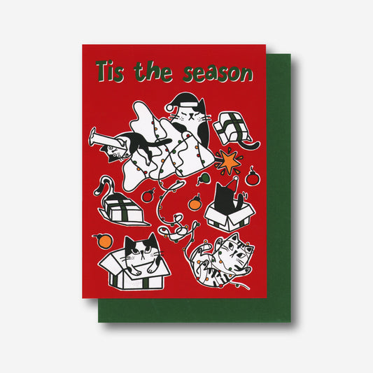 Funny Cats Christmas Card - Tis the Season