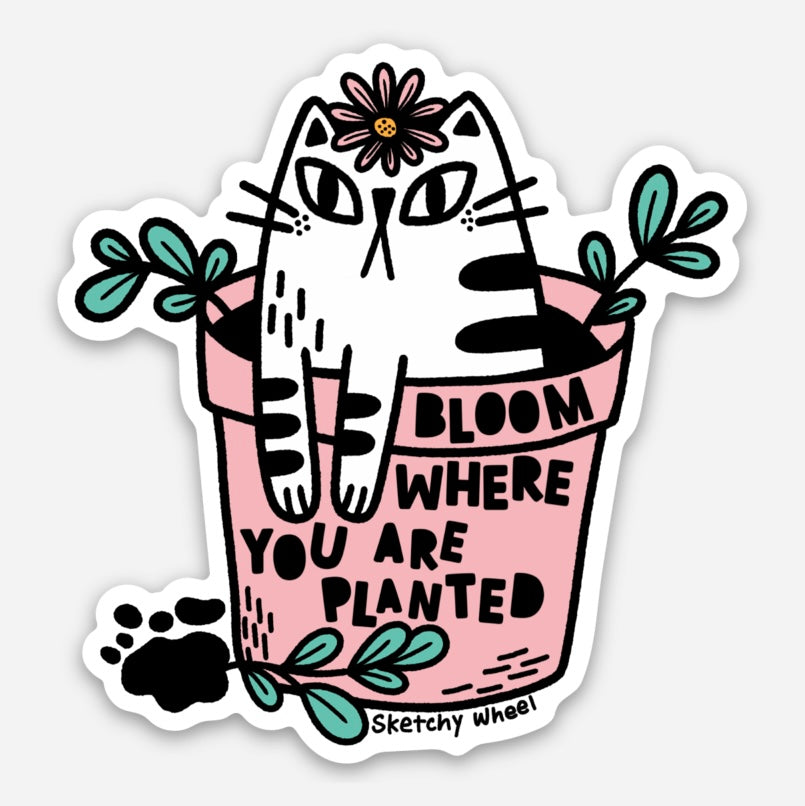 Cat Sticker Bloom Where You Are Planted